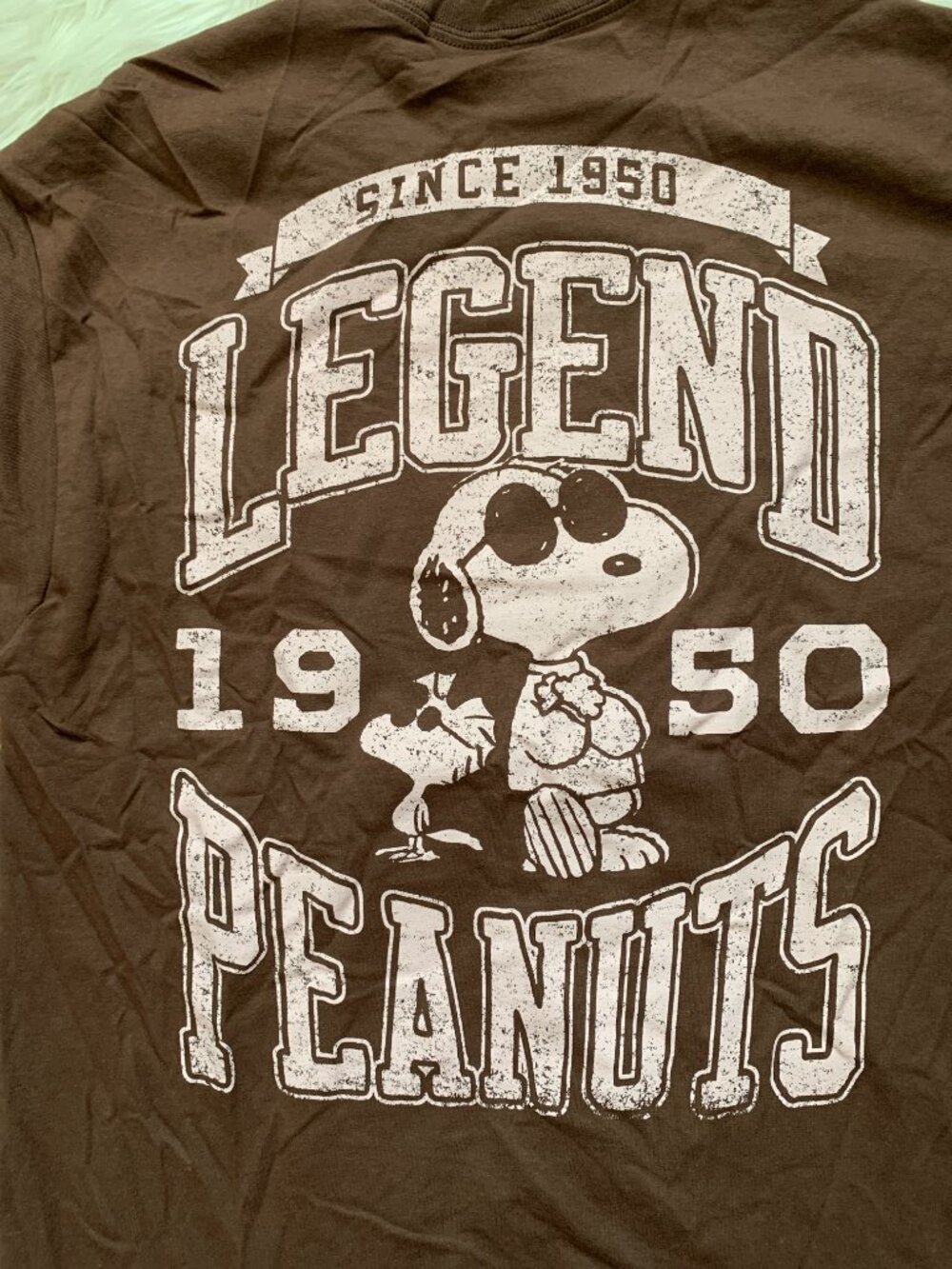 PEANUTS Snoopy & Woodstock Legend Short Sleeve Tee in Brown Sz MEDIUM - Picture 4 of 4